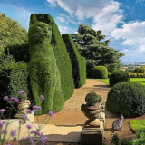 Topiary: krásné a originální možnosti designu a stylové nápady na design krajiny (145 fotografií)